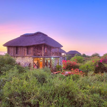 فيلا Manyara Wildlife Safari Camp Zanzibar المظهر الخارجي الصورة